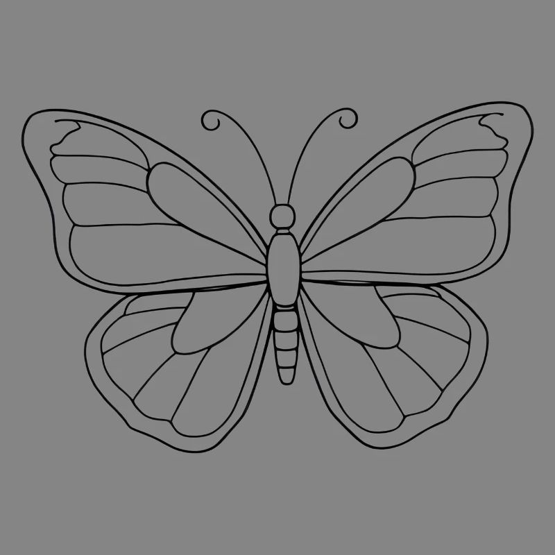 Minimalistic Butterfly