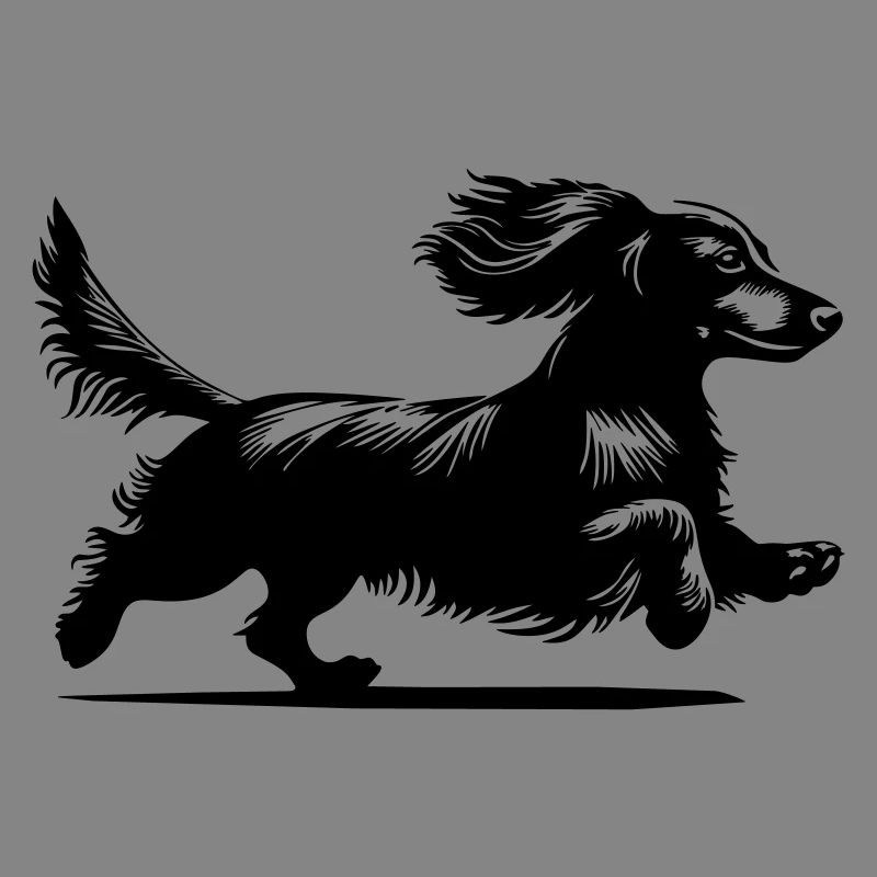 Dachshund