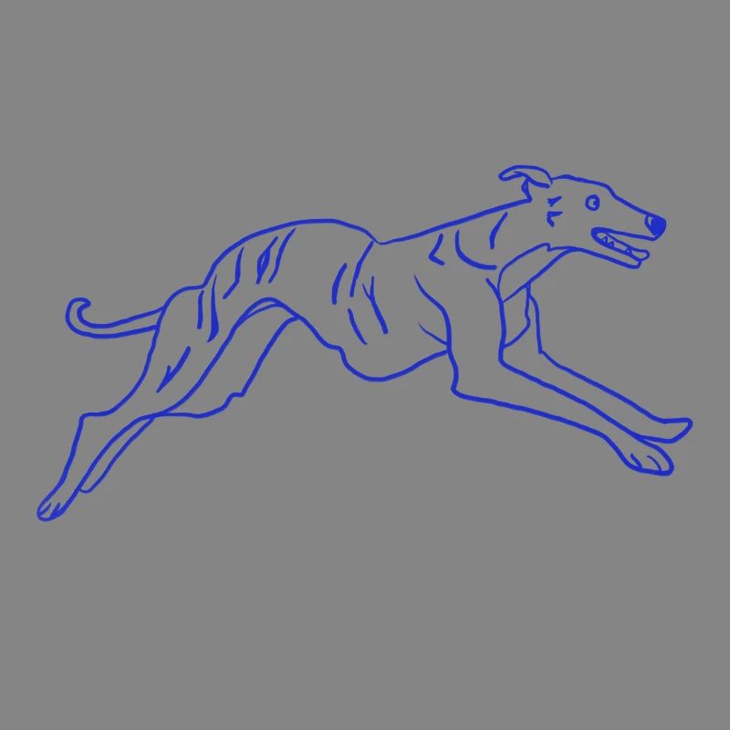 Greyhound Dog Running