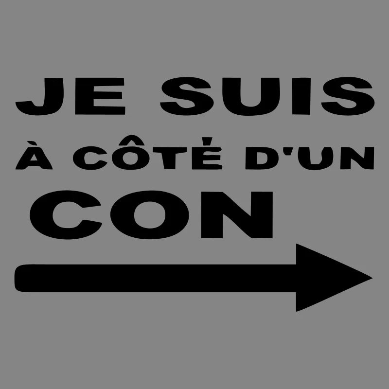 Je Suis À Côté D UN CON