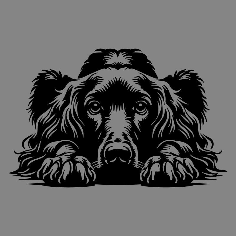 Irish Setter Head with Paws