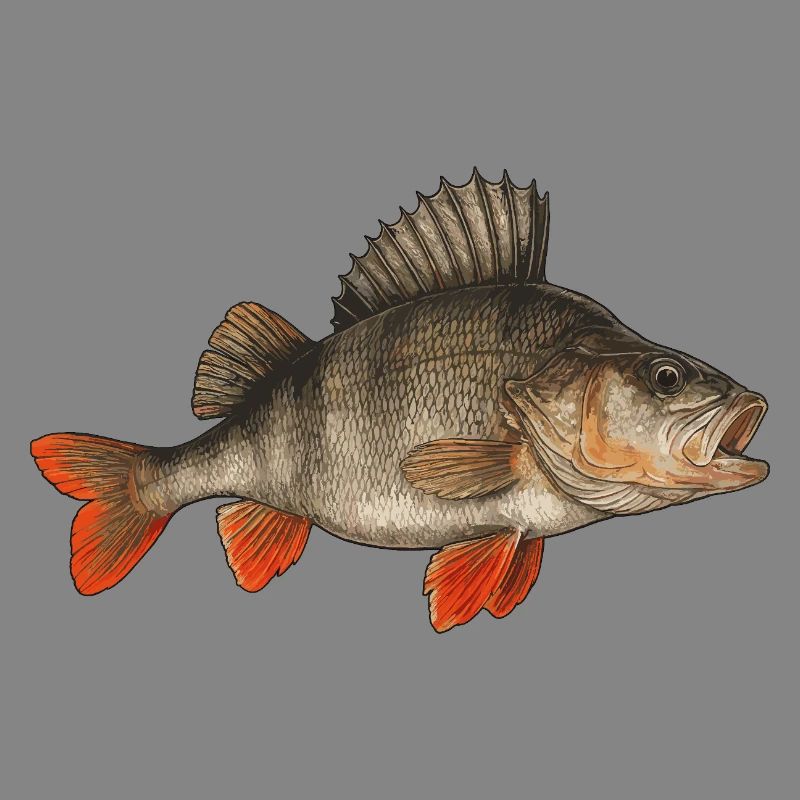 Perche Perche Perche Perche Perche Pêche Perche Perche