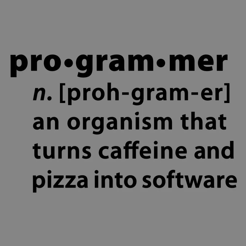 Programmer dictionary definition