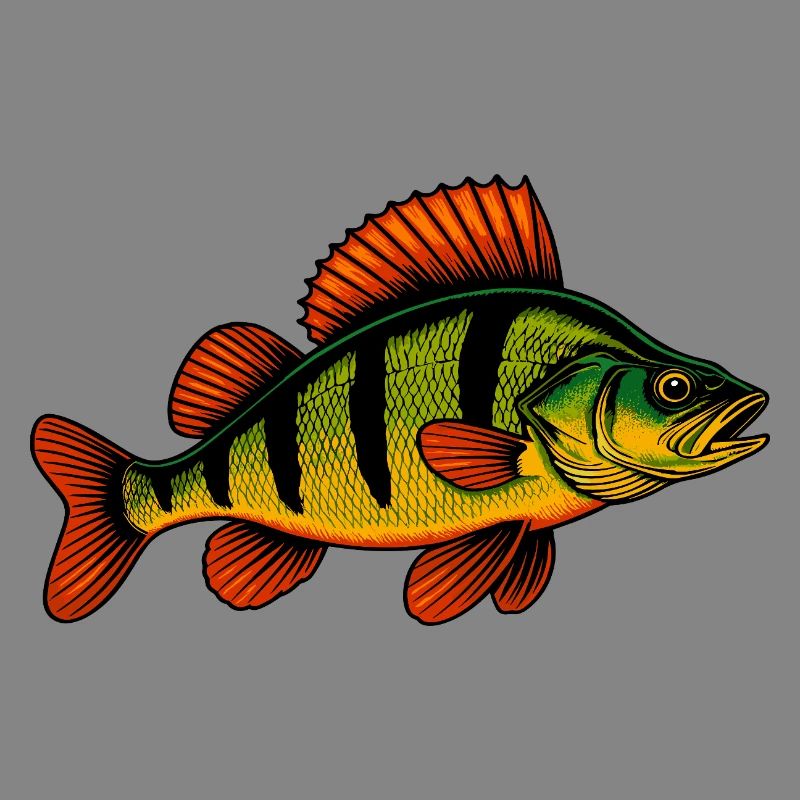Perch Perch Perch Perch Fishing Perch Perch Perch