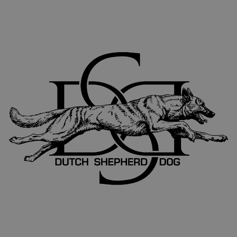 Dutchie - Holländischer Schäferhund