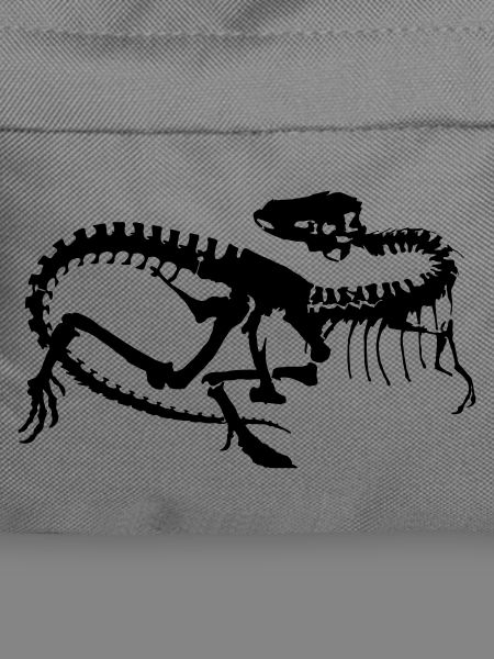 Dinosaurier Skelett Silhouette (1c)