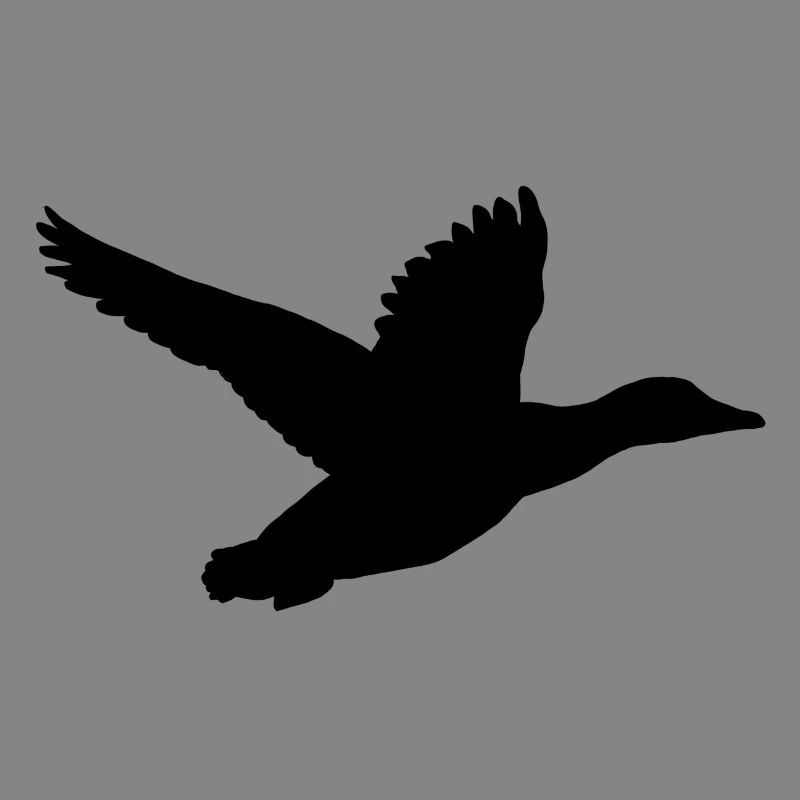 Duck in flight