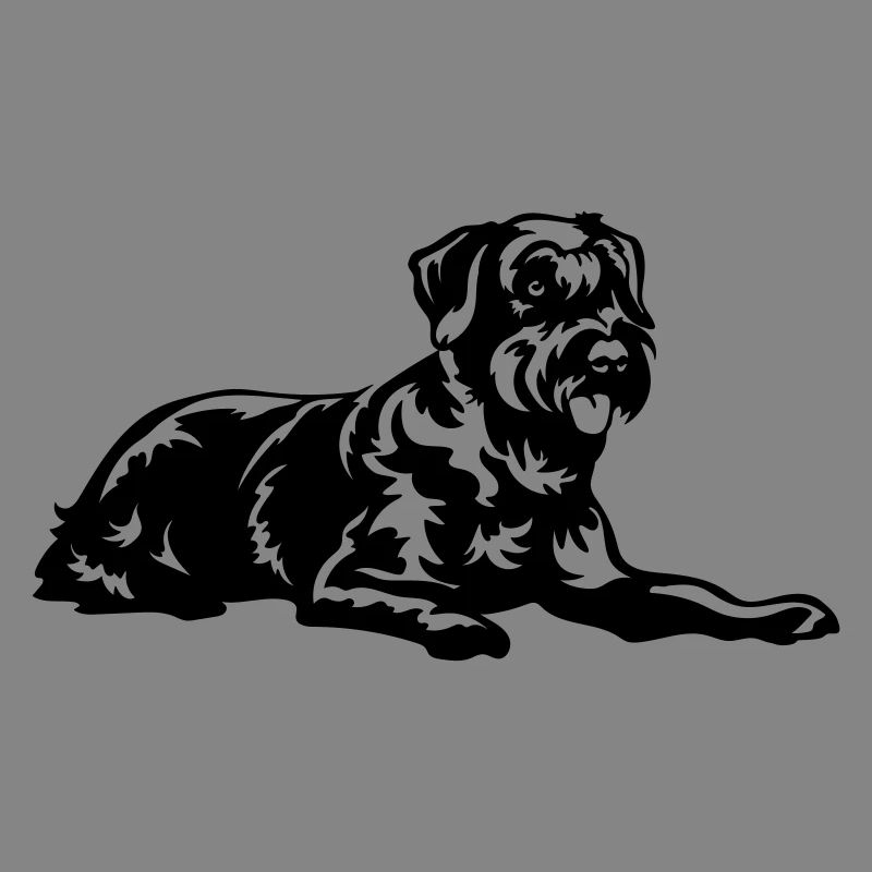 Schnauzer géant