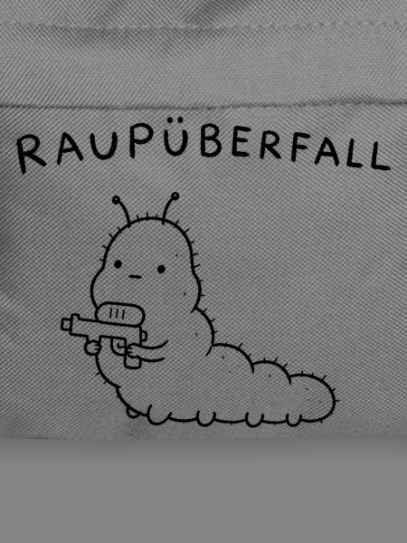 Raupüberfall