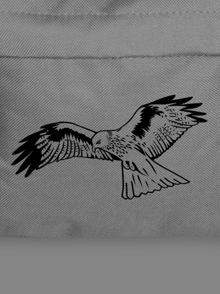 Falke im Flug