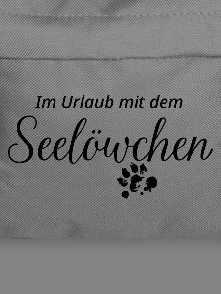 Löwchen: Im Urlaub mit dem Seelöwchen