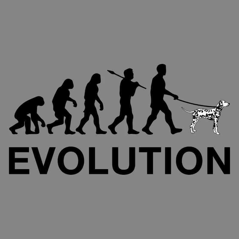 évolution