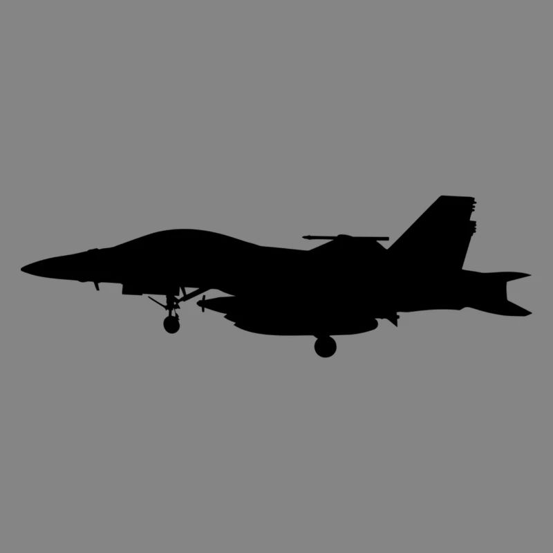 Avion de Chasse