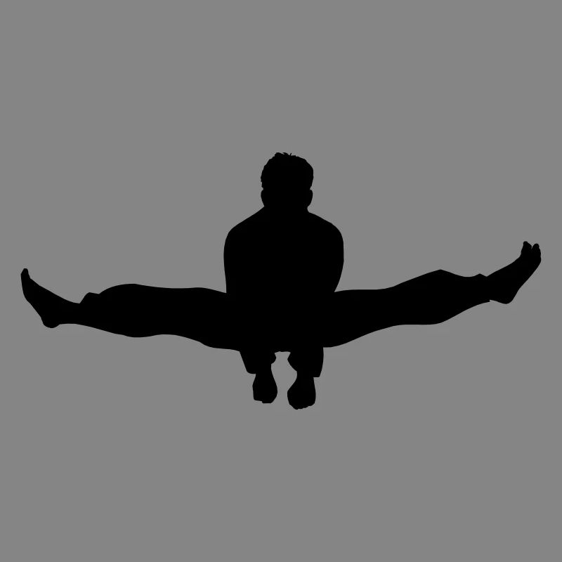 Karate oder Taekwondo Double Kick Schatten