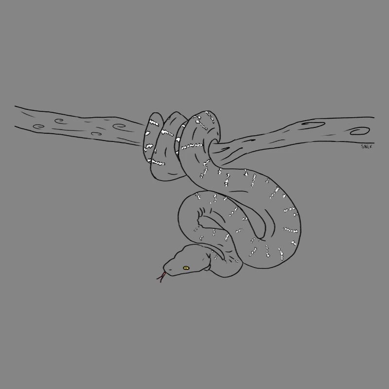 Snake (noir et blanc)
