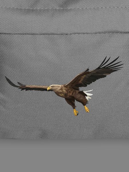 Seeadler Haliaeetus Albicilla Adler