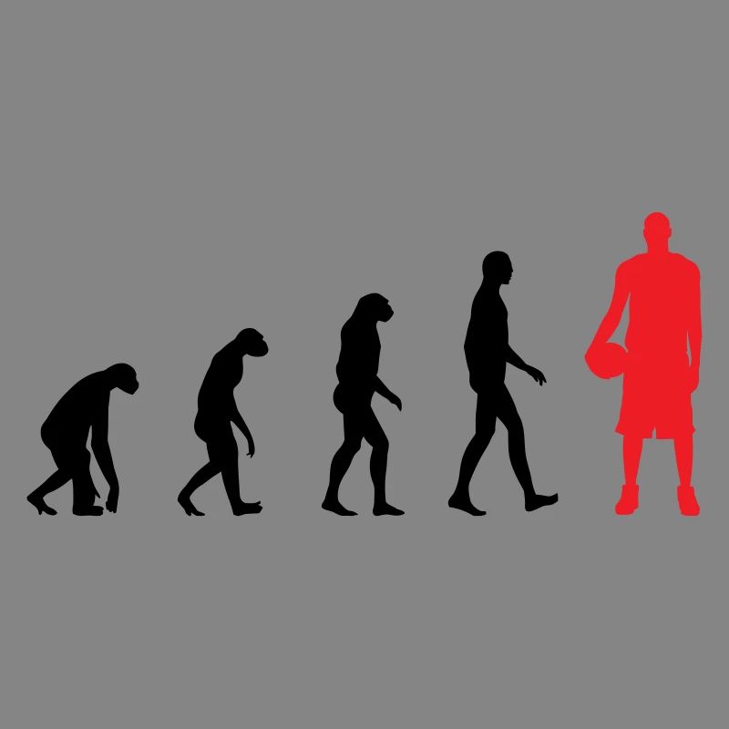 Basket Ball Evolution / Basketball 