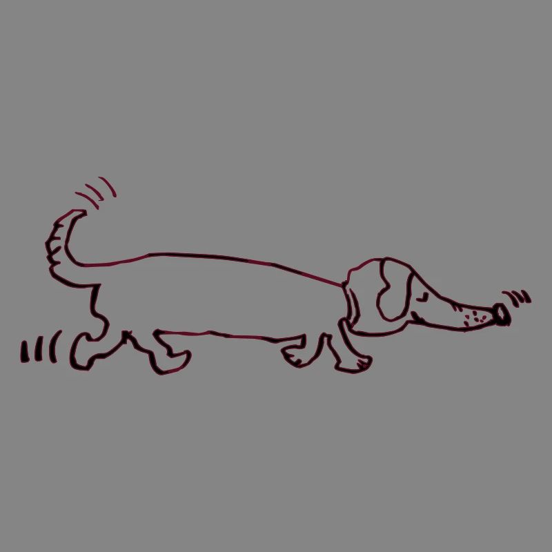 drôle teckel, teckel, chien, teckel