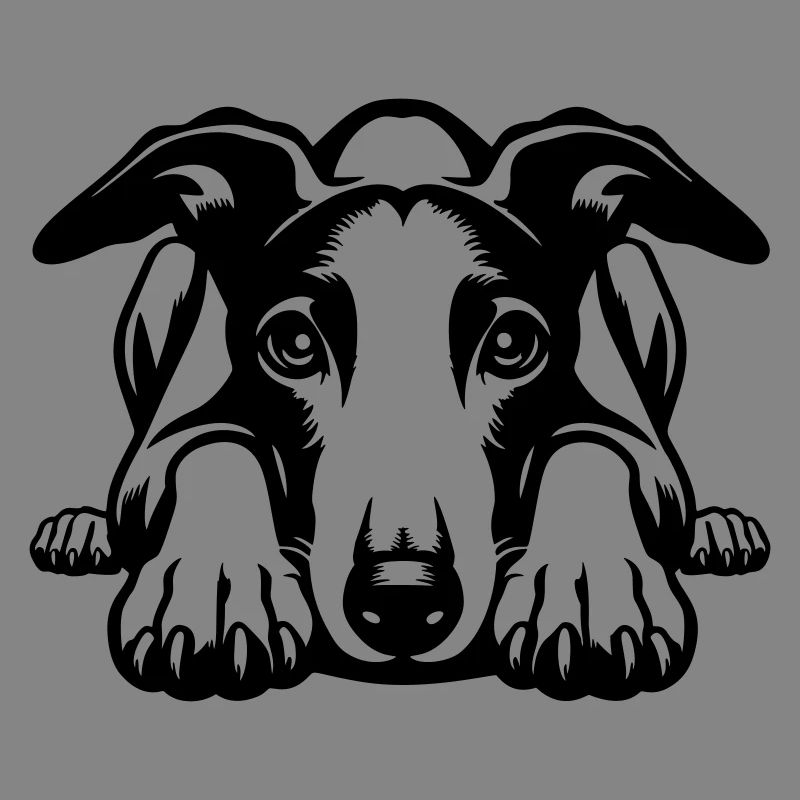 Whippet Kopf mit Pfoten