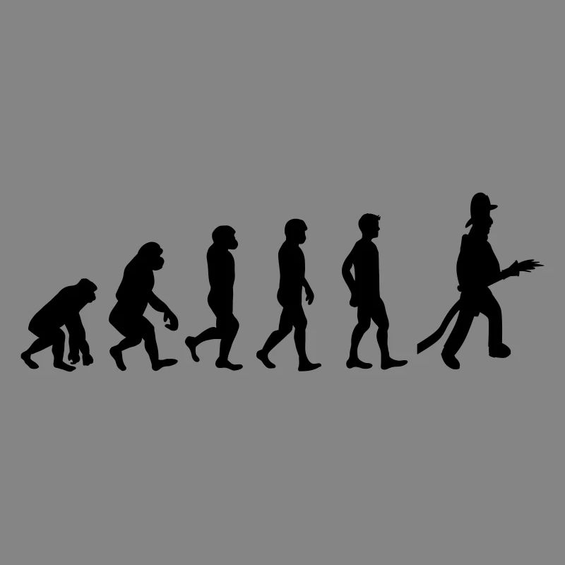 Fire evolution