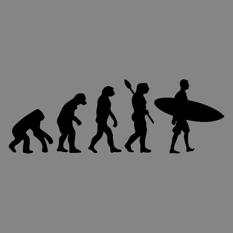 Surfer Funny Human Evolution