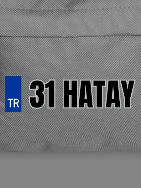 31 Hatay Kennzeichen | Türkisches Kennzeichen