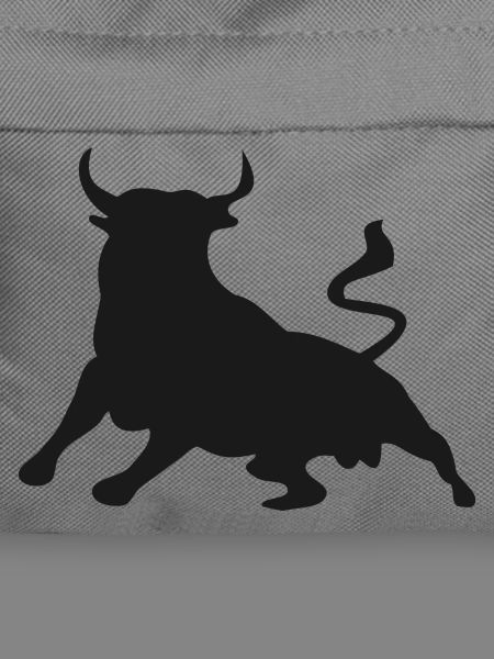 Stier