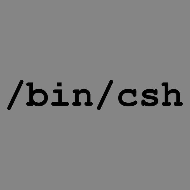 Interpréteur C - /bin/csh