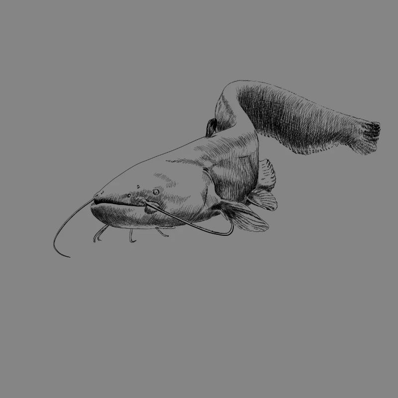 catfish