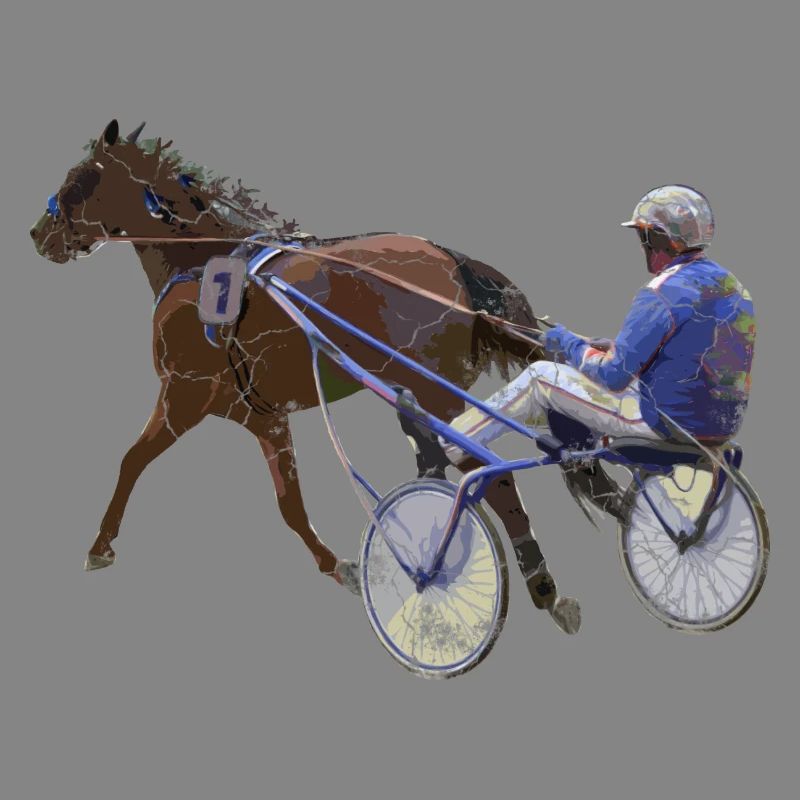 Cadeau de course de chevaux de course au trot