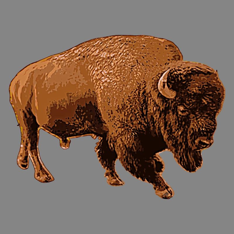 bison