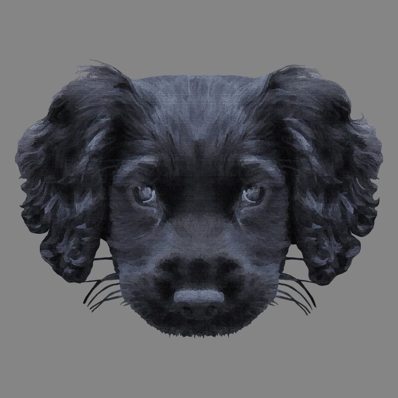 weihnachtsgeschenke für jedermann, Cocker spaniel
