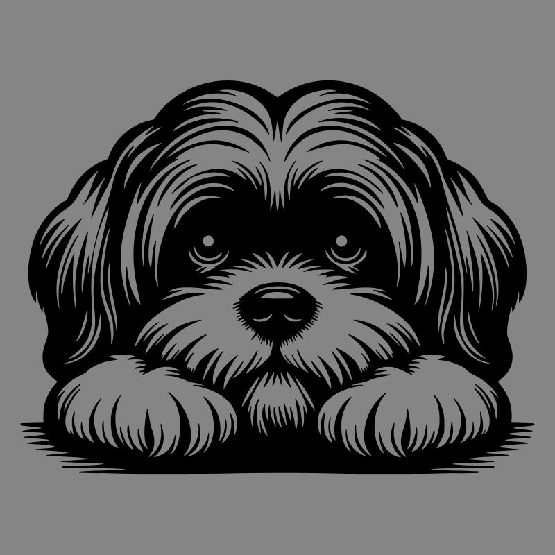 Lhasa Apso Kopf mit Pfoten