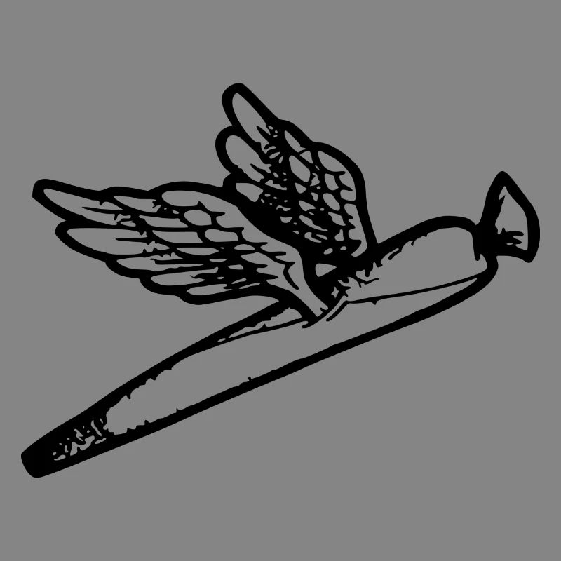 We fly so High