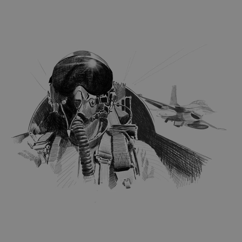 Fighter pilot