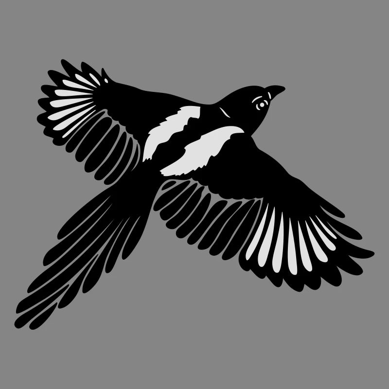 Magpie with large wings.