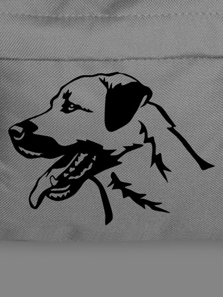 Kangal head