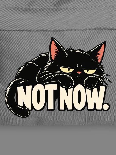 Nicht jetzt, Katze