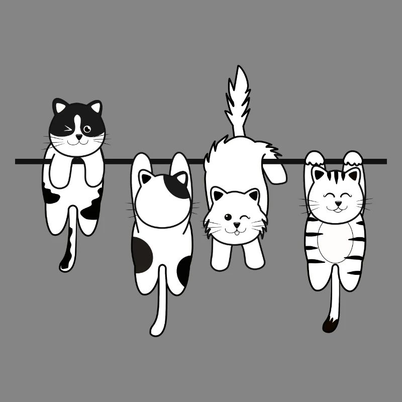 Chat de lessive