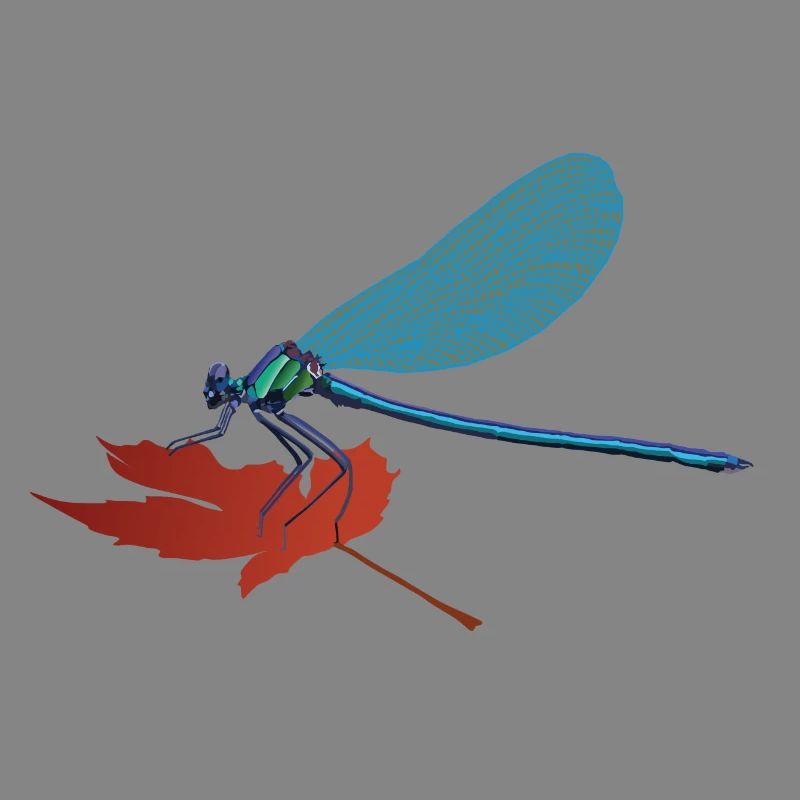 Lilli, the dragonfly