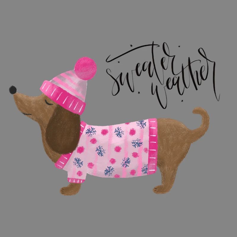 Teckel avec pull et chapeau Pull Météo rose