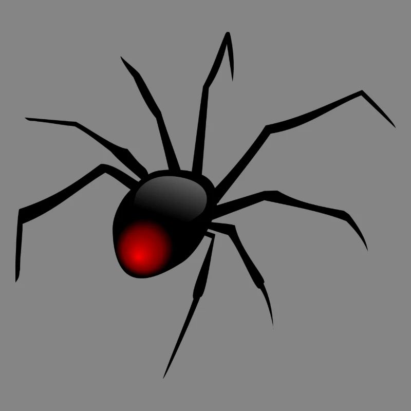 spid 84