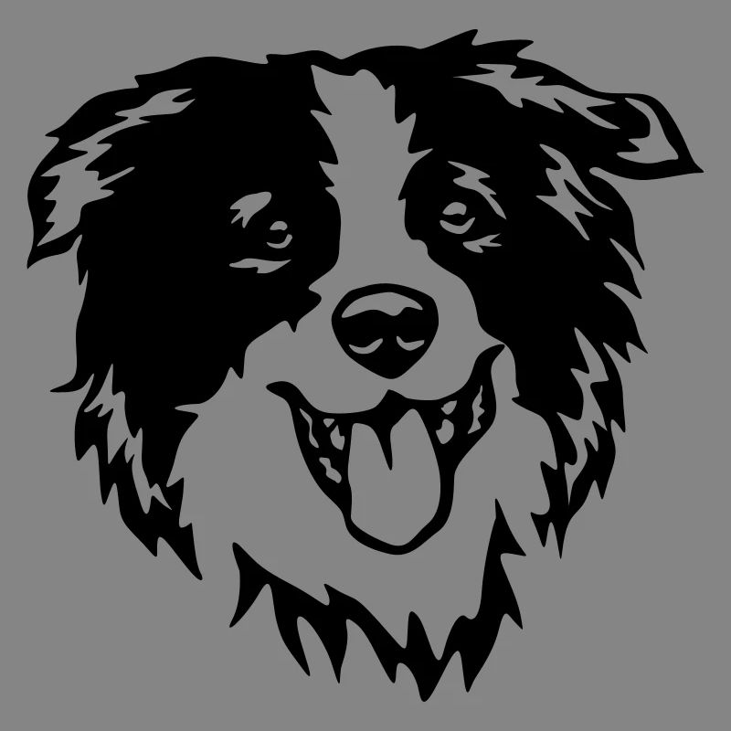 Border Collie head