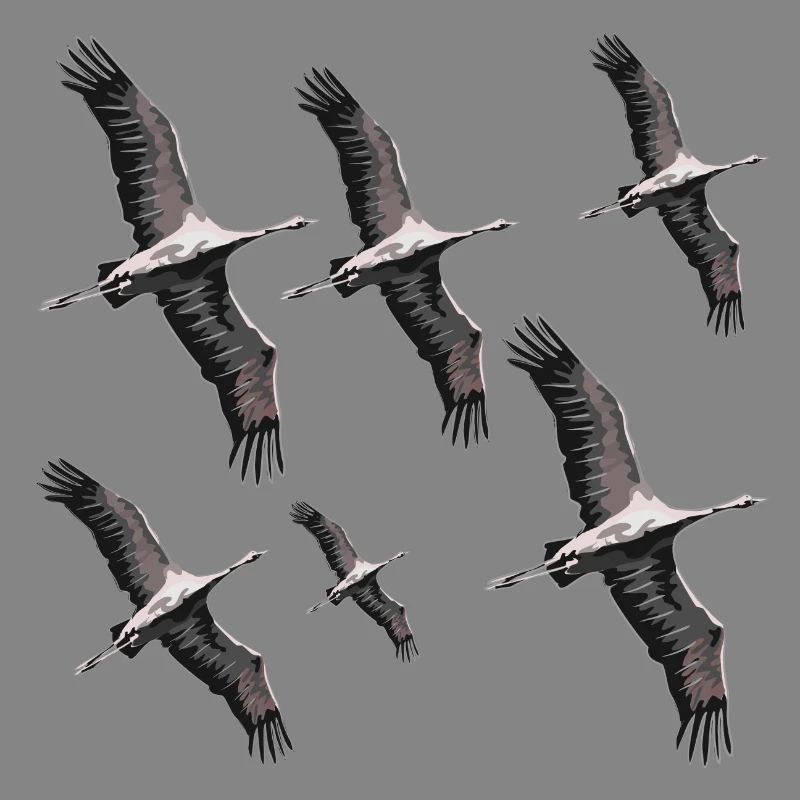 Bird migration cranes