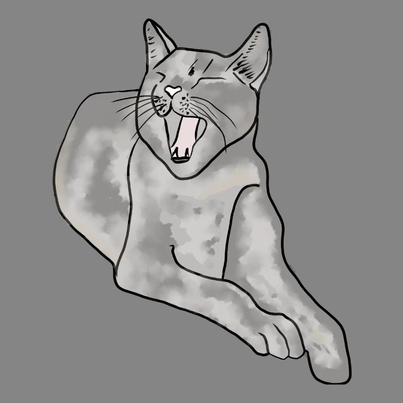 chat