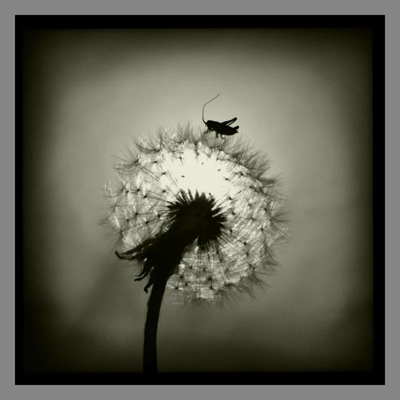 Tiny Planet