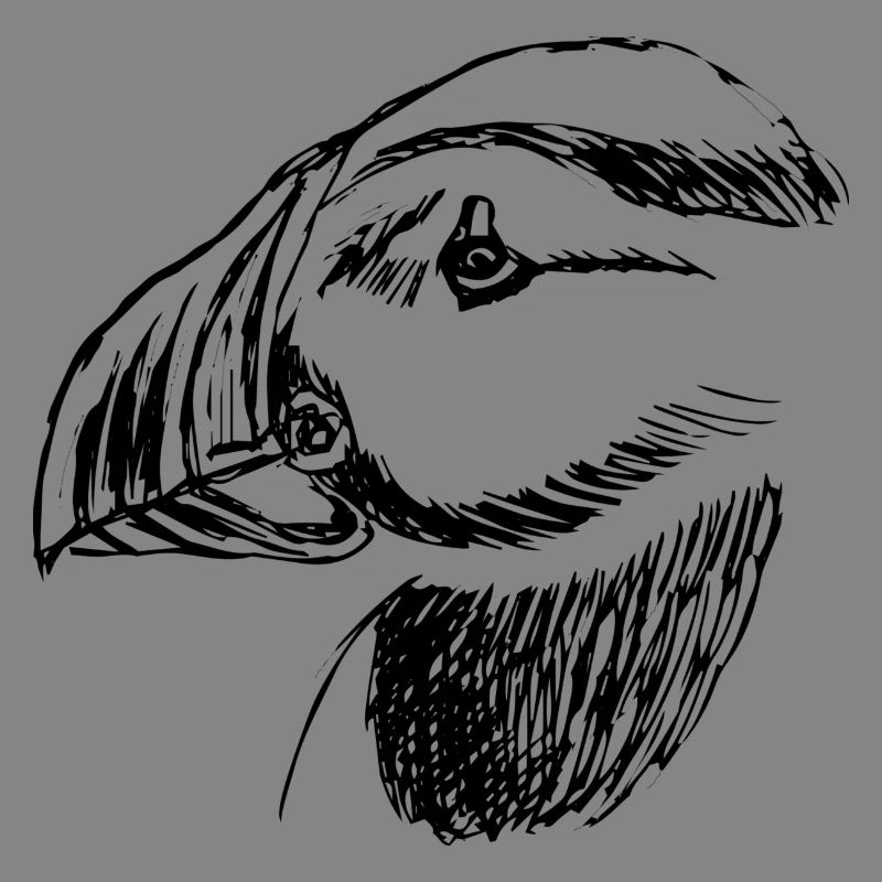 Oiseau macareux dessiné à la main