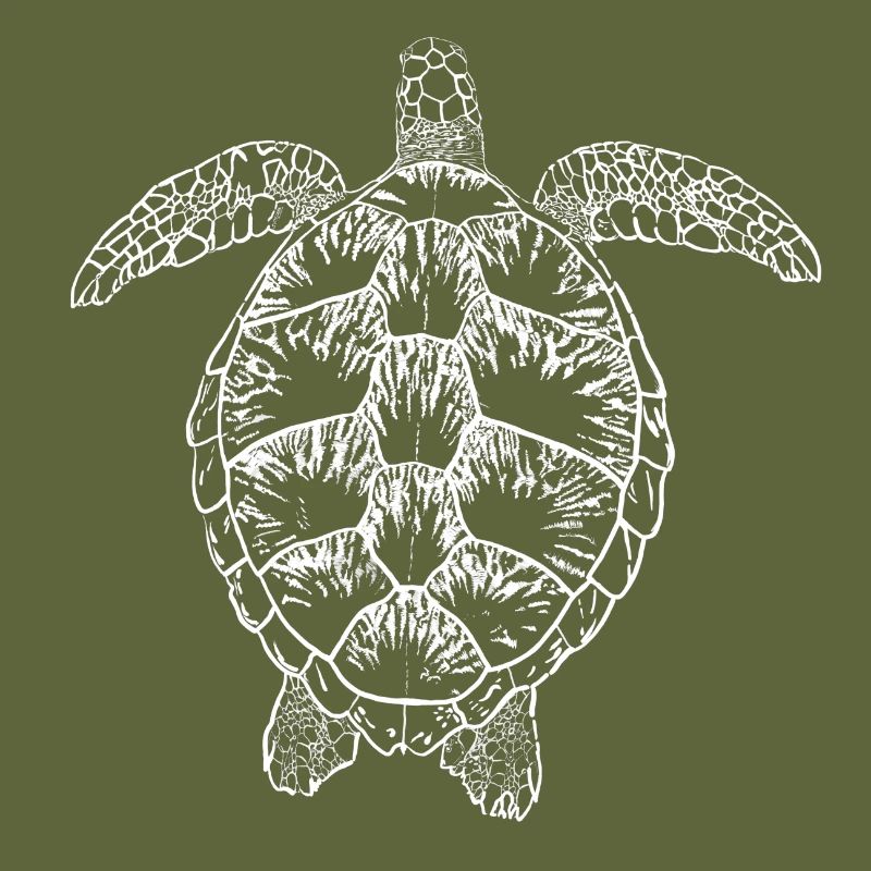 Turtle white2