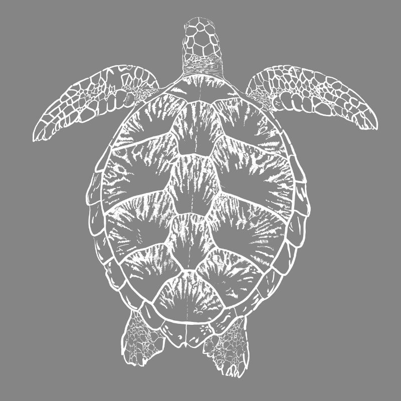 Turtle white2