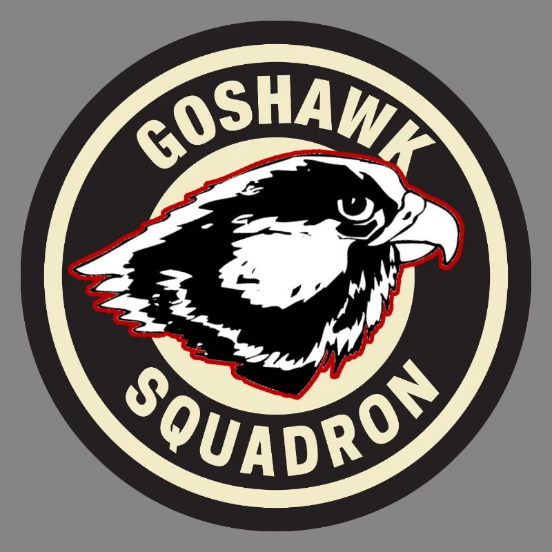 Conception de l’insigne de l’escadron Goshawk
